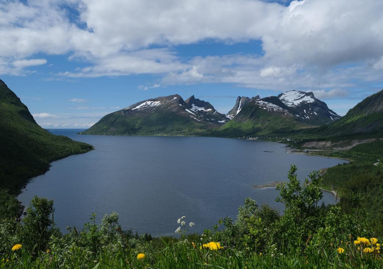 Appartement Destination Senja -