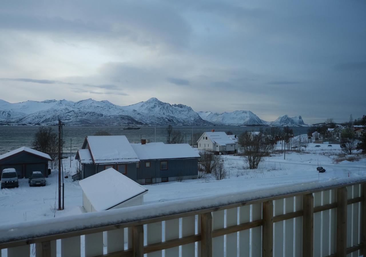 Destination Senja - * Skaland