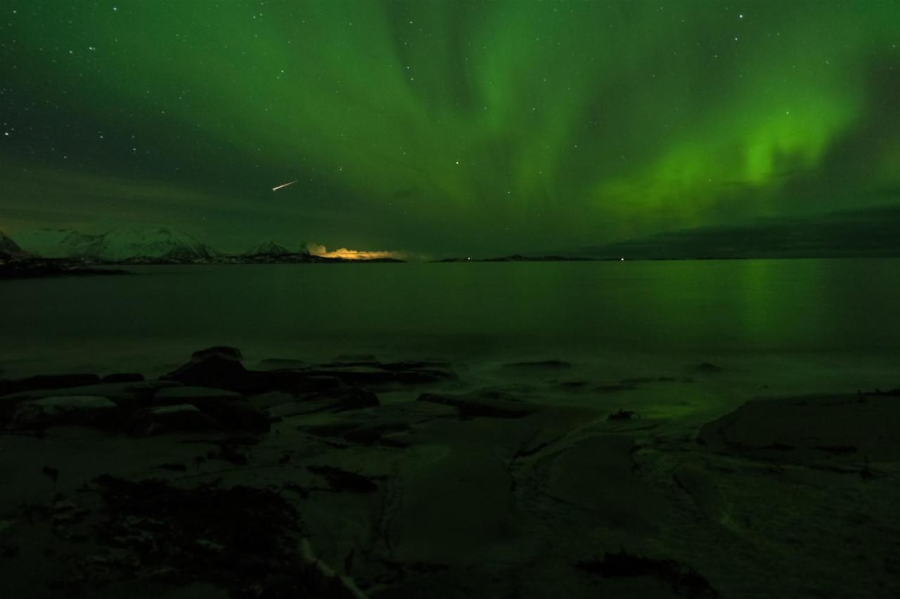 Appartement Destination Senja -