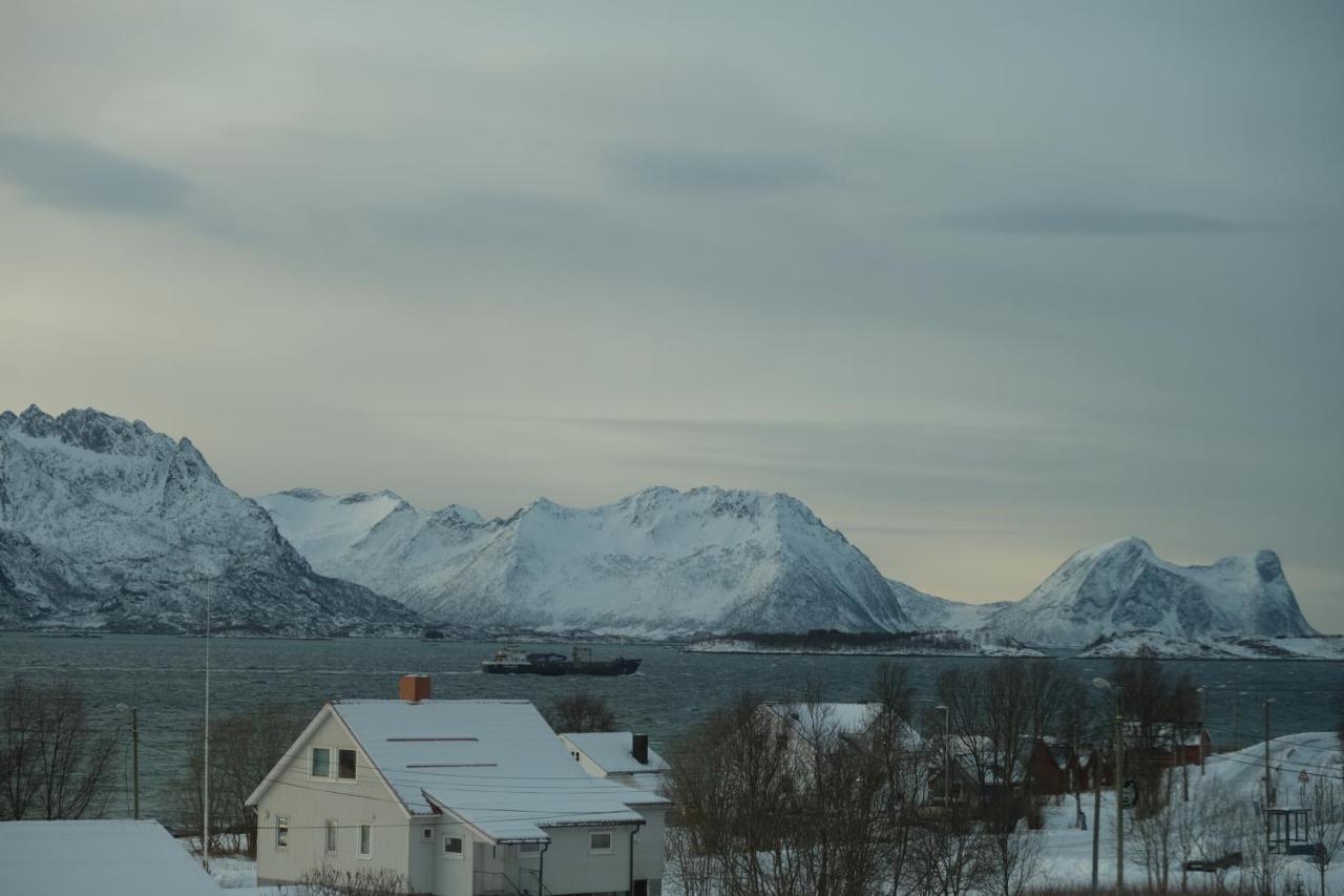 Appartement Destination Senja -